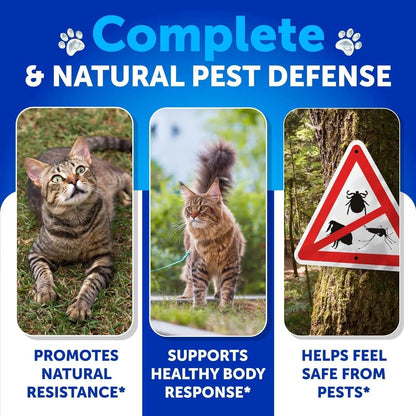 US Local Flea Treatment For Cats Natural Flea And Tick Prevention Supplement For Cats Kittens Chewable Daily Oral Pills With Vitamins 135 Soft Chews Skin & Coat Dental Treats Digestion
