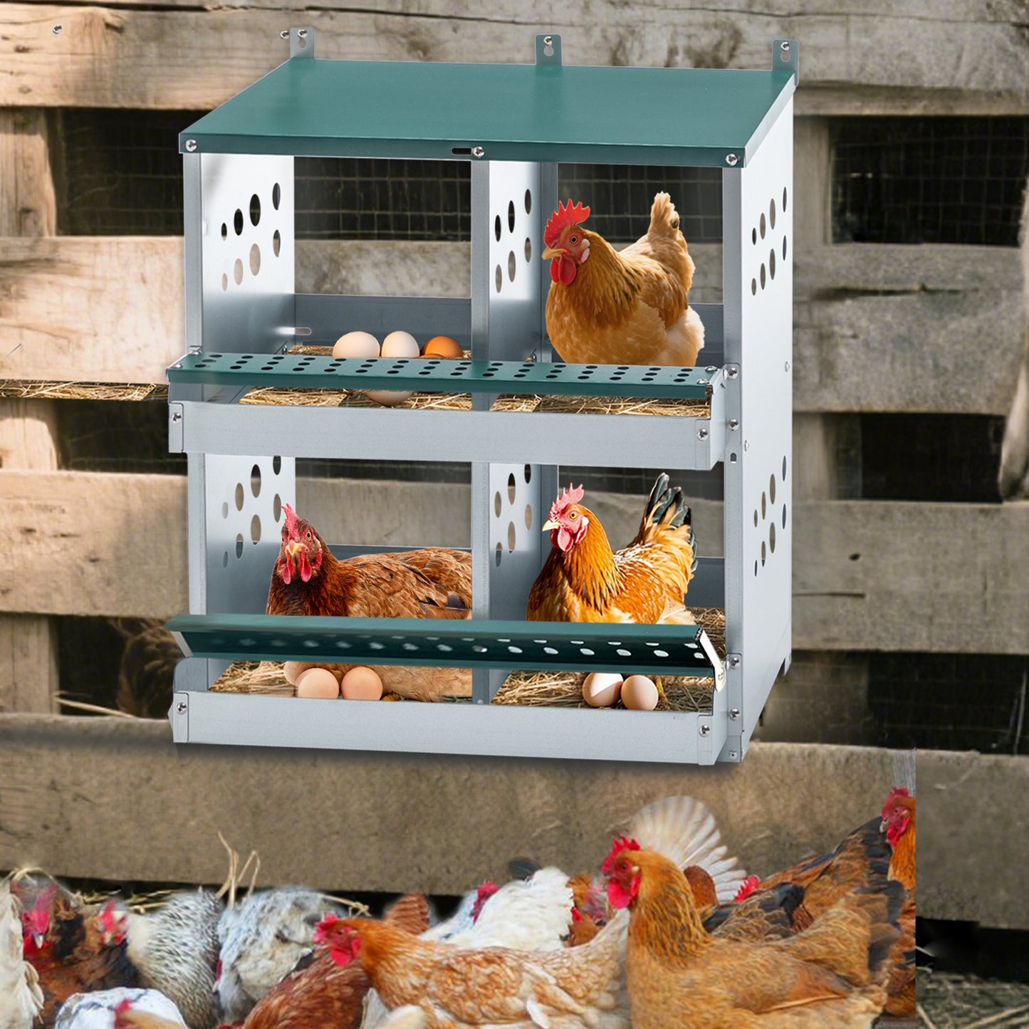 US Local 4 Compartment Chicken Nesting Boxes, Metal Nesting Boxes Wall Mount Chicken Egg Laying Box For Different Chicken Breeds