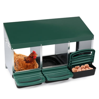 US Local 3-compartment Chicken Feeding Trough