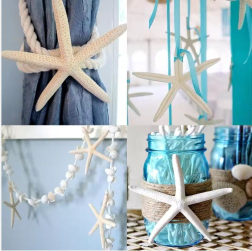 US Local 20 PCS 2-4 Inch 4-6 Inch Bulk Natural Real Starfish For DIY Crafts Wedding Beach Christmas Tree Ornaments