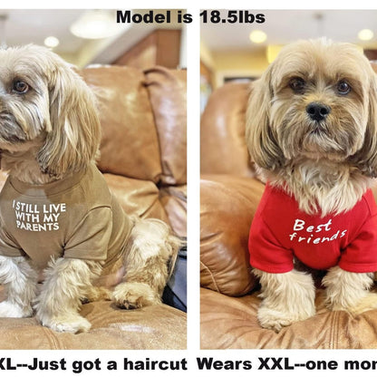 US Local Pet Clothes Round Neck T-shirt