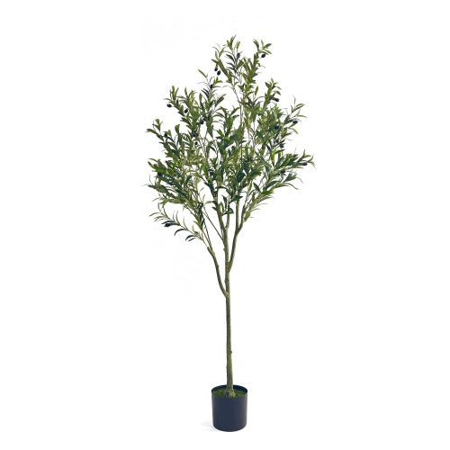 US Local 180CM ARTIFICIAL OLIVE TREE