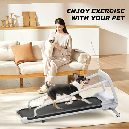 US Local 2025 New Quiet Smart Pet Treadmill, Adjustable Speed, Perfect For Small Medium Dogs