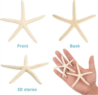 US Local 20 PCS 2-4 Inch 4-6 Inch Bulk Natural Real Starfish For DIY Crafts Wedding Beach Christmas Tree Ornaments