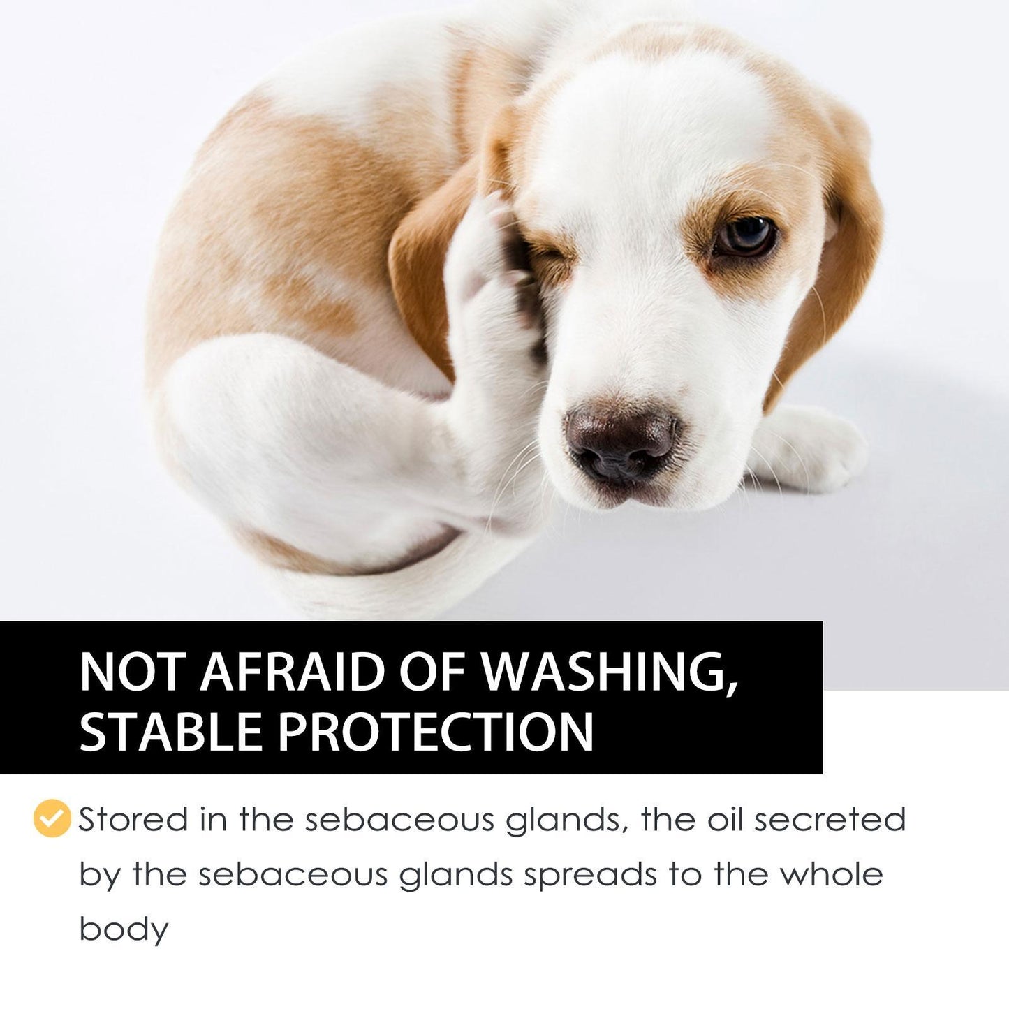 US Local Igbang Pet External Deworming Drops For Cats And Dogs To Remove Ticks And Fleas