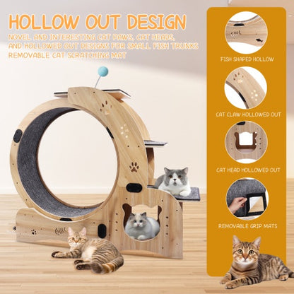 US Local Cat Wheel 6-in-1 Cat Fitness Wheel
