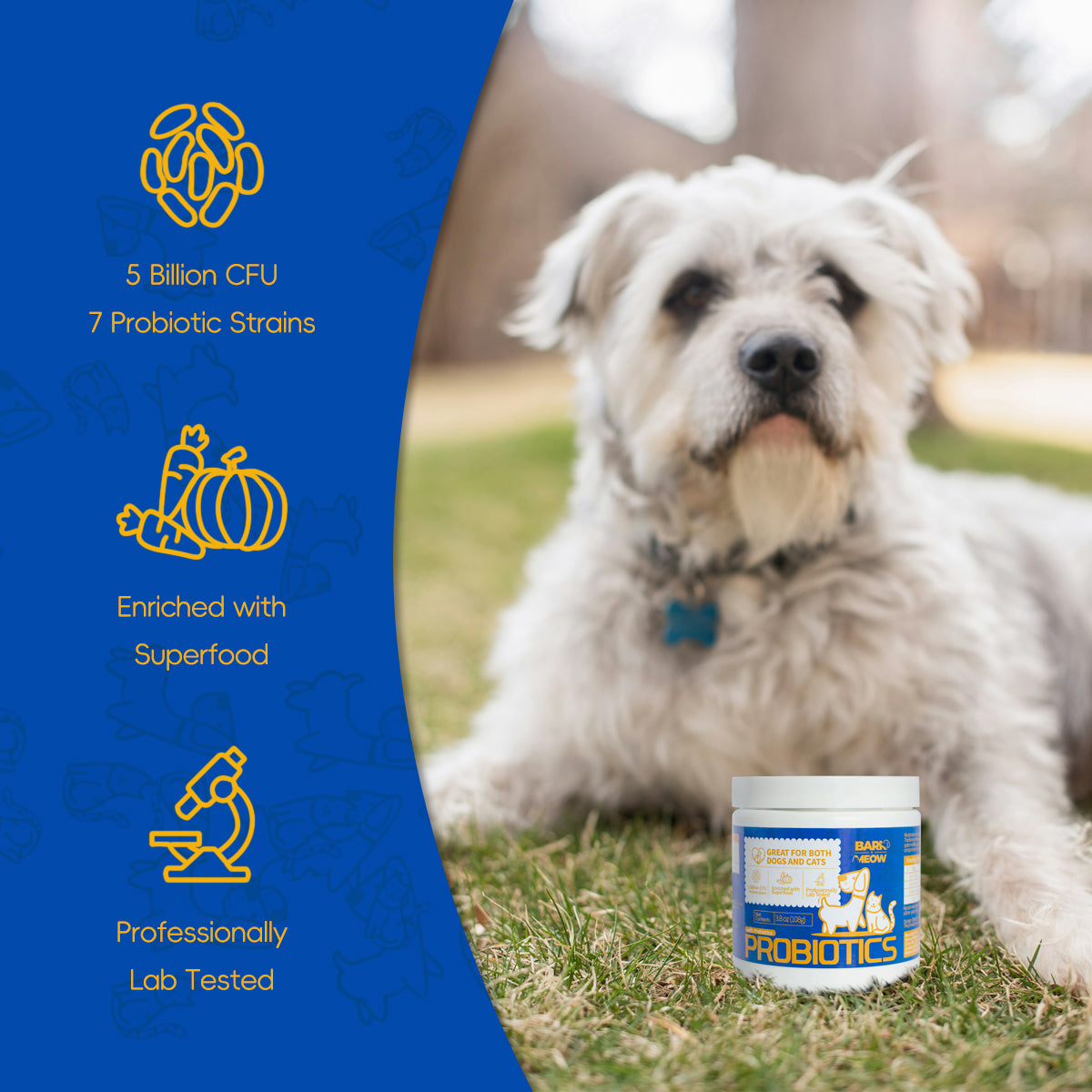 US Local Bark And Meow Probiotics For Dogs & Cats  7 Tailored Strains  Prebiotics, Pumpkin & Carrot  5 Billion CFU Scoop Human-Grade Non-GMO, Vet-Approved Made In USA, Gut  Immune Support
