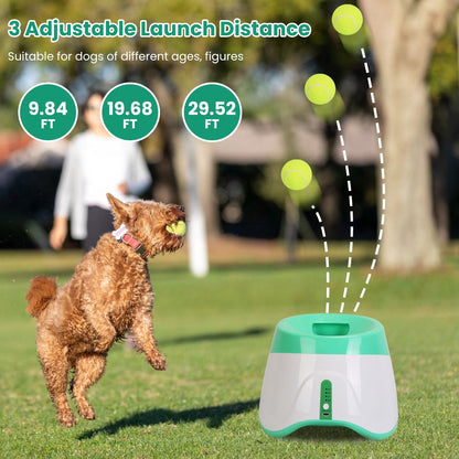 US Local 1Pc Automatic Dog Ball Launcher Included 6 Tennis Balls Dog With 3 Adjustable Launch Distance Interactive Ball Thrower Fetch Machine For Small Medium Dogs
