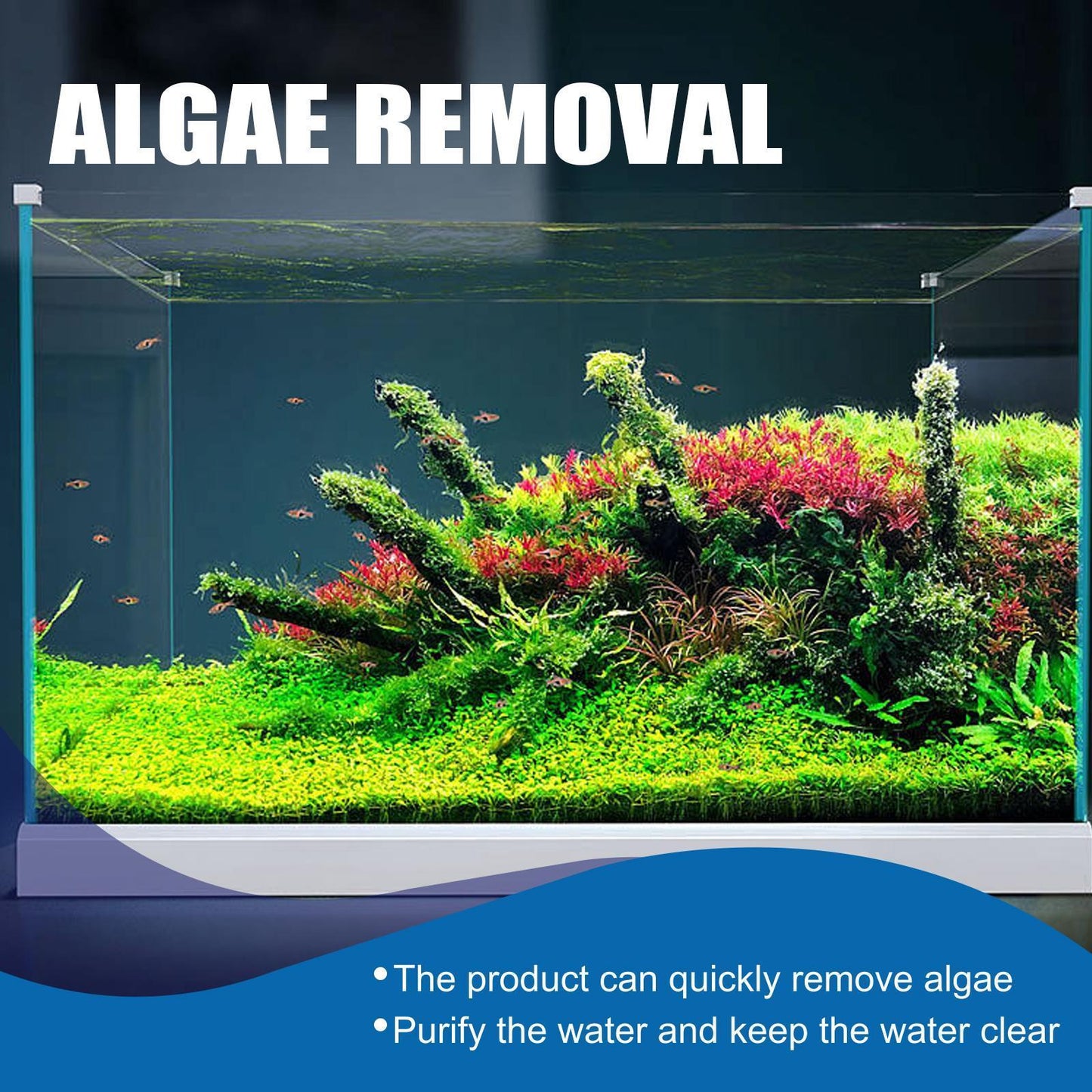US Local Igbondigal Lichen Fish Tank Cleaning Supplies Algaecide To Remove Moss And Green Water Algae