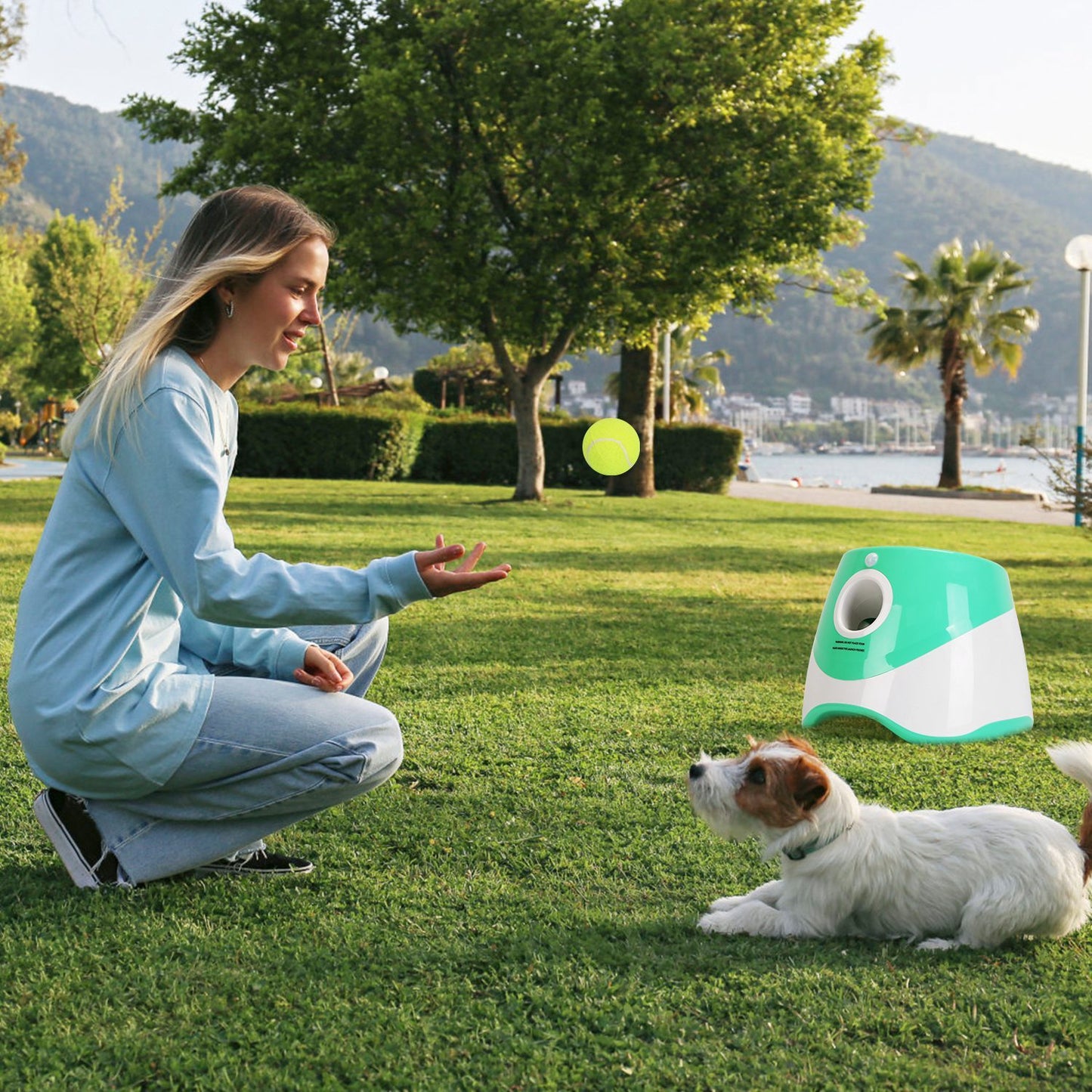 US Local 1Pc Automatic Dog Ball Launcher Included 6 Tennis Balls Dog With 3 Adjustable Launch Distance Interactive Ball Thrower Fetch Machine For Small Medium Dogs