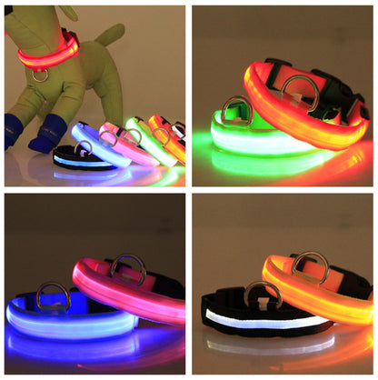 US Local LED Luminous Pet Dog Collar Night