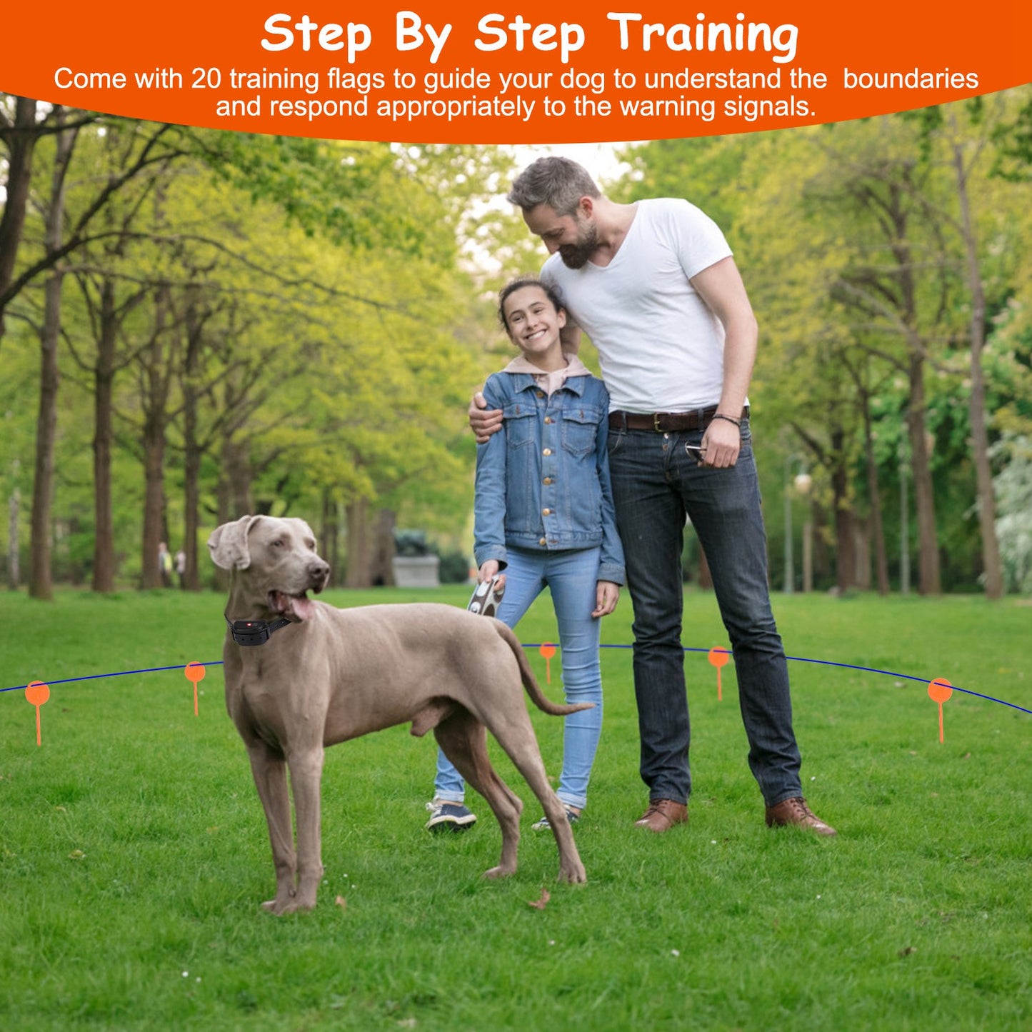 US Local 1Set Dog Fence System Pet Containment System With One Hundred Adjustable Levels IPX7 Waterproof Rechargeable Receiver Underground Fence For Small Medium Large Dog