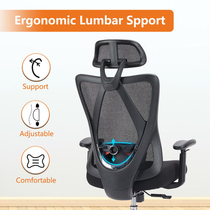 US Local Ergonomic Office Chair