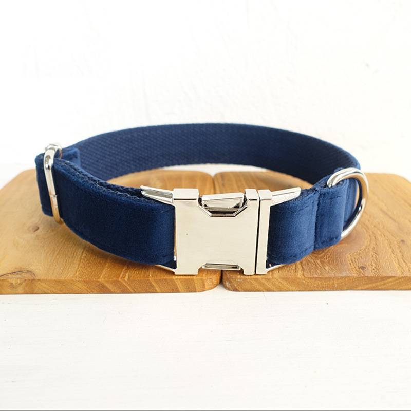 US Local Bow pet collar large and small pet traction collar dog chain