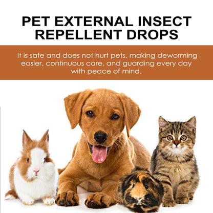 US Local Igbang Pet External Deworming Drops For Cats And Dogs To Remove Ticks And Fleas