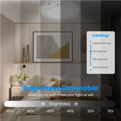 US Local Rechargeable Motion Sensor Ceiling Light