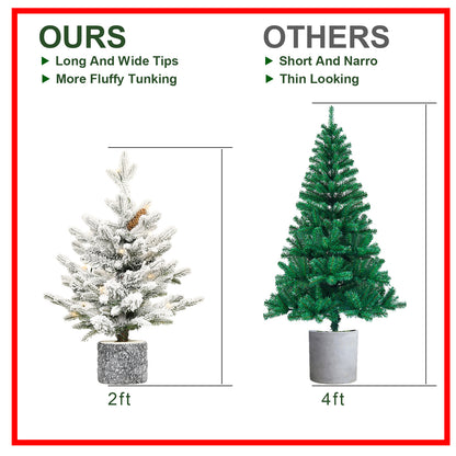 US Local PE, PVC Christmas Tree, Christmas Decorations