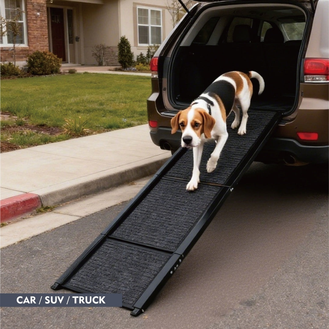 US Local Dog Ramp For Car 65x17 Large Folding Pet Stair Ramps For Truck, SUV, With Non-Slip Surface, Up To 250LBS, Outdoor Dog Car Ramp For Medium Large Dogs, Portable Pet Steps