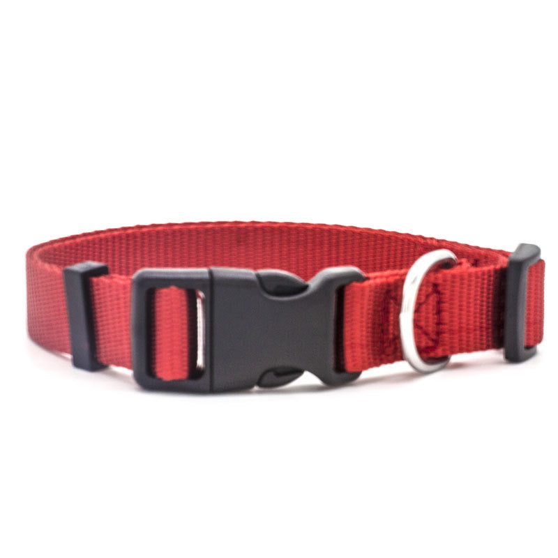 US Local New Pet Collar
