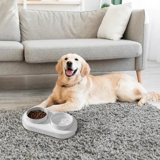 US Local Heated Water Bowl For Dogs And Cats Ceramic Heated Pet Water Bowl