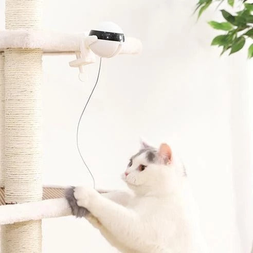 US Local Pet Cat Toy Electronic Motion Cat Toy Interactive