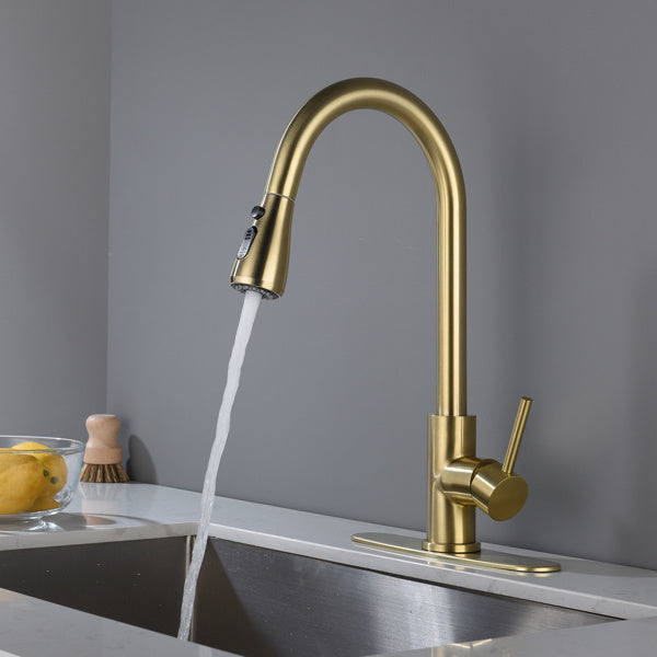 US Local Kitchen Faucet Household Sink Faucet