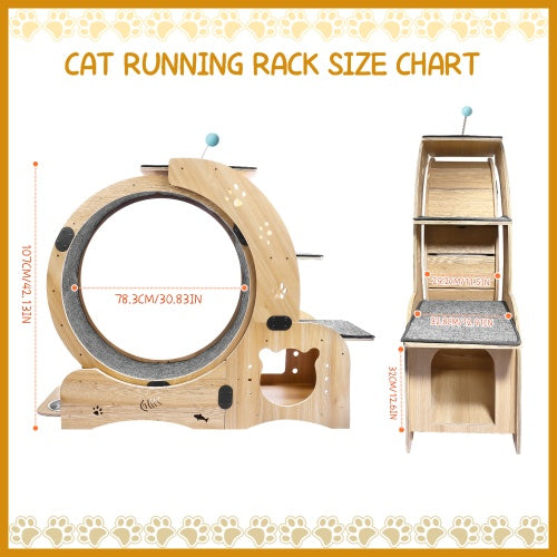 US Local Cat Wheel 6-in-1 Cat Fitness Wheel
