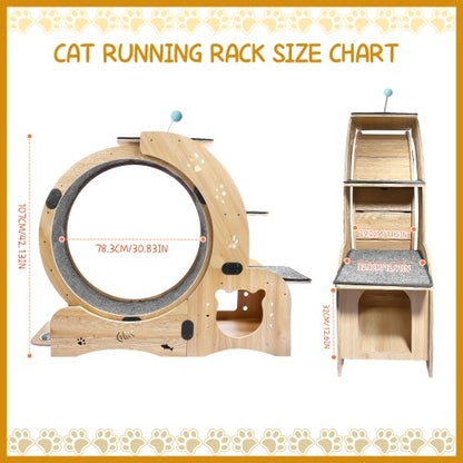 US Local Cat Wheel 6-in-1 Cat Fitness Wheel