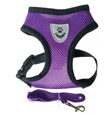 US Local Fashionable High-end Multi-color Dog Harness