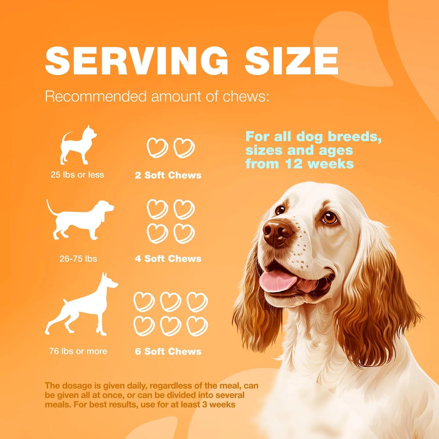 US Local Dog Allergy Relief Chews Itch Relief For Dogs Anti Itch Dog Allergy Chews US Formulated Dog Itching Skin Relief With Salmon Oil Immune Health Seasonal Allergies & Hot Spots Support Treats