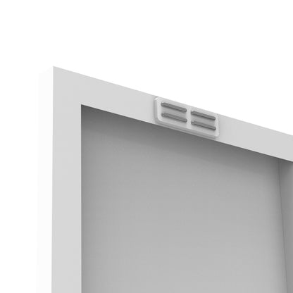 US Local 2  Door Shoes Cabinet