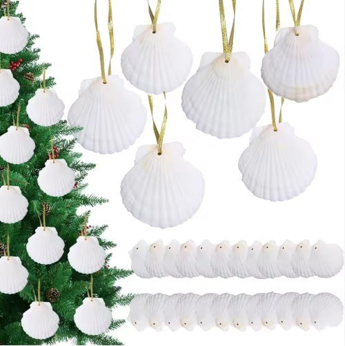US Local Seashells For Crafting Christmas Ornaments 24pcs 2-3 Inch Hanging Sea Shells Natural White Scallop Shells For Crafts