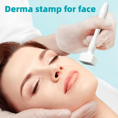 US Local Microneedles Derma Roller - Microneedling Stamp 0.25 Mm, Micro Needle Skin Care Tool For Men And Women Home Use