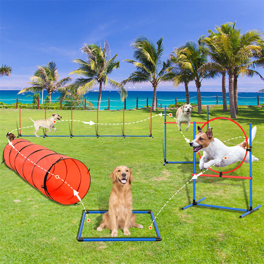 US Local VEVOR Dog Agility Training Equipment 5 PCS Set Upgrade W Hurdles Extended Tunnel
