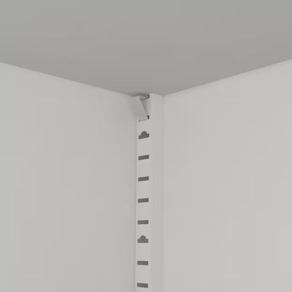 US Local 2  Door Shoes Cabinet