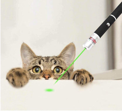 US Local Pet Toy Green Laser Pointer Pen Light Single Beam High Power Lazer Flashlight 900Miles 1mW 532nm Torch