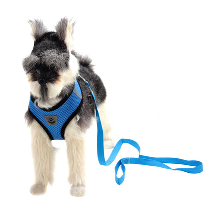 US Local Fashionable High-end Multi-color Dog Harness