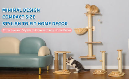 US Local Indoor Cat Soft Scratching Board And Interactive Ball Track Toy Cat Rest And Grooming Supplies