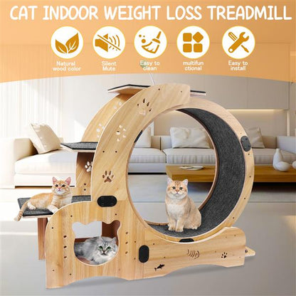 US Local Cat Wheel 6-in-1 Cat Sports Wheel, Upgraded Indoor Cat Wheel Sports Device