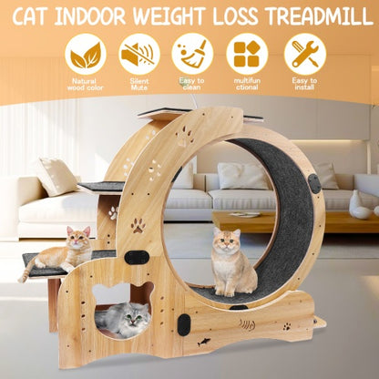 US Local Cat Wheel 6-in-1 Cat Fitness Wheel