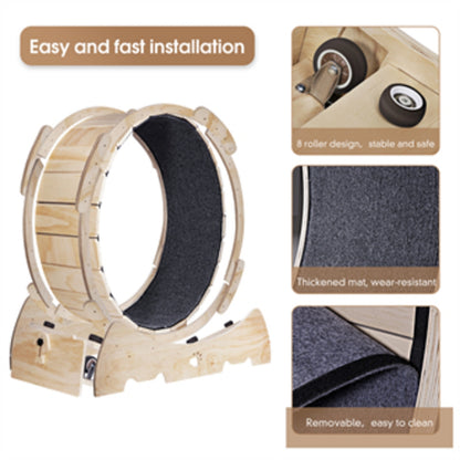 US Local Cat Exercise Wheel For Indoor Cats, Running Wheel With Carpeted Runway