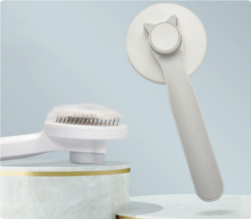 US Local Pet Cat Comb