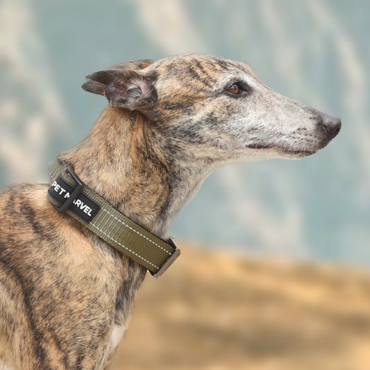 US Local PET MARVELHigh Performance Tactical Dog Collar 1.25 In Wide With Handle