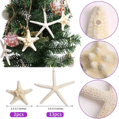 15pcs 2.3-4.3 Inch Starfish Hanging Christmas Tree Ornaments Star Fish Shells Decor For Crafts