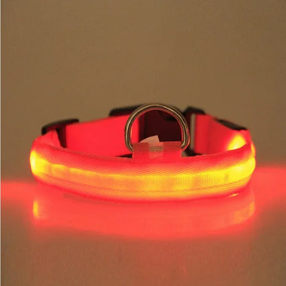 US Local LED PET Safety Halo Style Collar