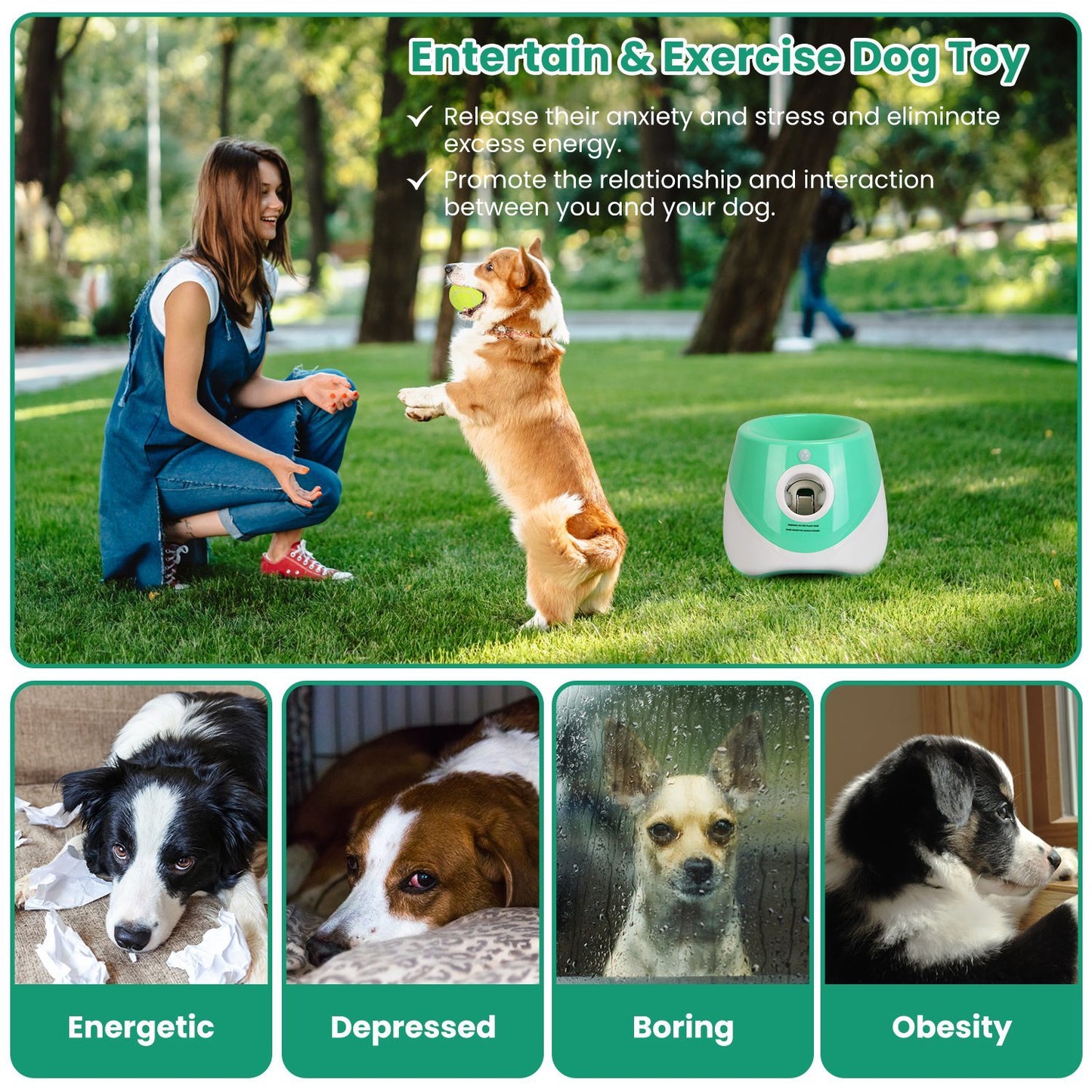 US Local 1Pc Automatic Dog Ball Launcher Included 6 Tennis Balls Dog With 3 Adjustable Launch Distance Interactive Ball Thrower Fetch Machine For Small Medium Dogs