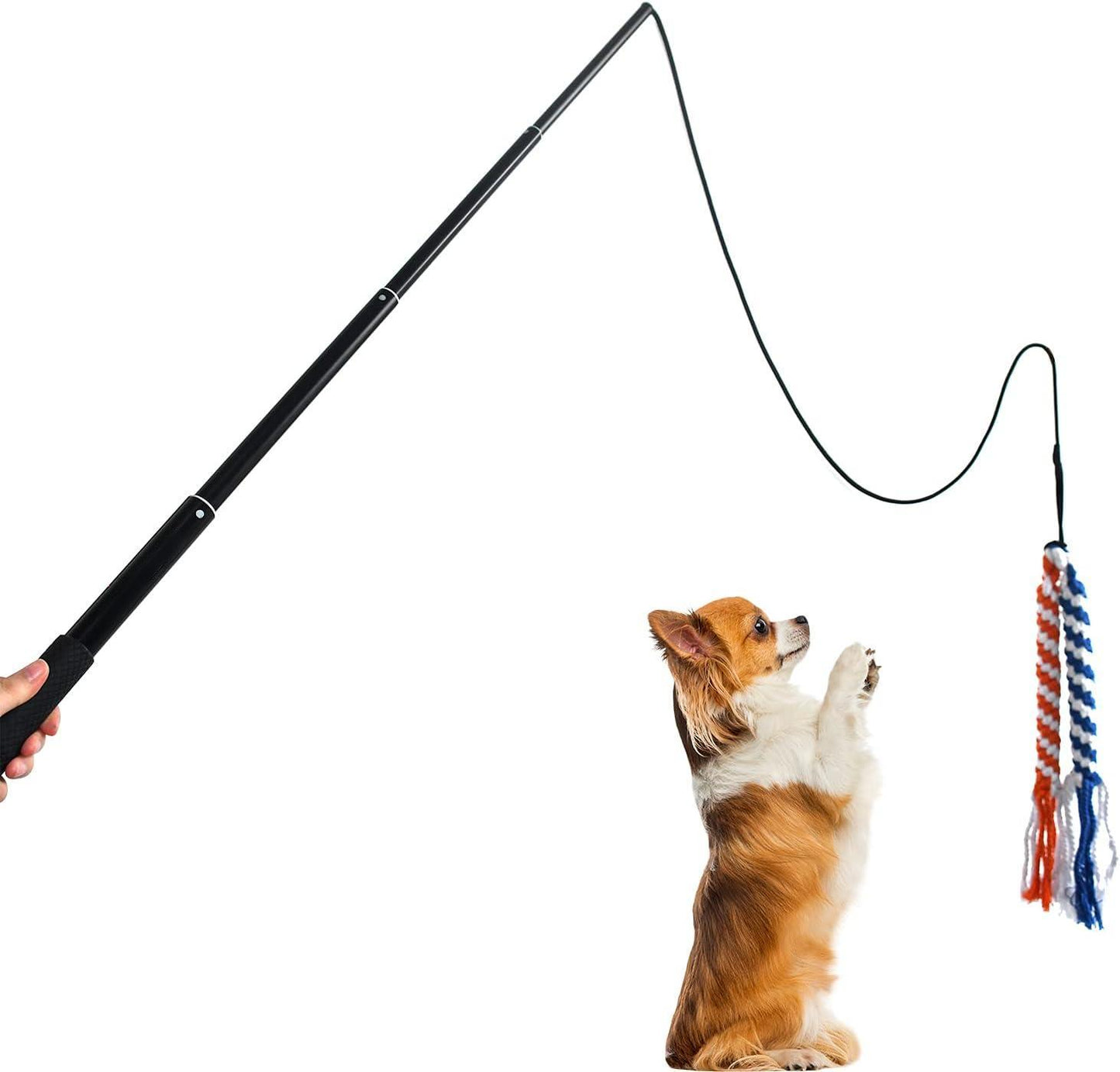 US Local Dog Extendable Teaser Wand Pet Flirt Stick Pole Puppy Chasing Tail Interactive Toy For Small Medium Large Dogs Training Playing Exercise