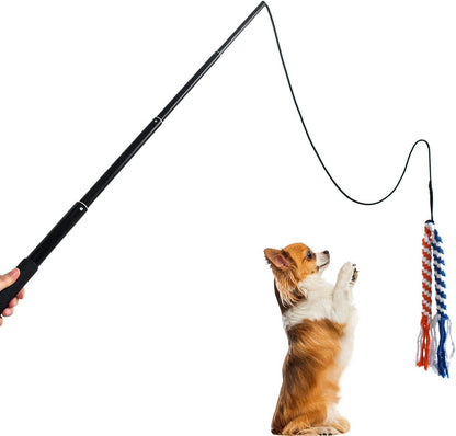 US Local Dog Extendable Teaser Wand Pet Flirt Stick Pole Puppy Chasing Tail Interactive Toy For Small Medium Large Dogs Training Playing Exercise