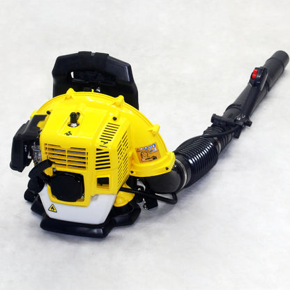 US Local Gasoline Air Blower Back Portable Greenhouse Snow Blower Road Sweeper