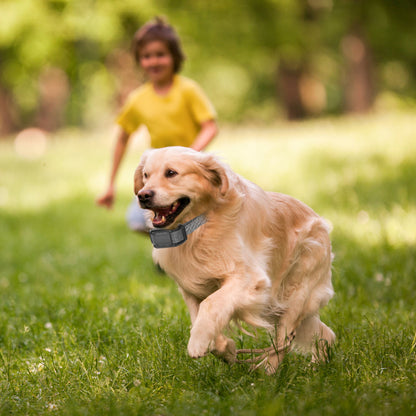 US Local 1Pc Citronella Bark Collar For Dogs Spray Bark Collar Anti Barking Control For Small Medium Large Dogs IP65 Waterproof No Electric Shocks